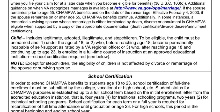 Entering details in veterans affairs champva stage 4