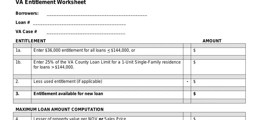 example of empty fields in va max loan amount worksheet