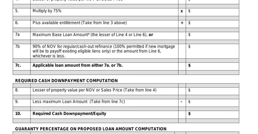 stage 2 to entering details in va max loan amount worksheet
