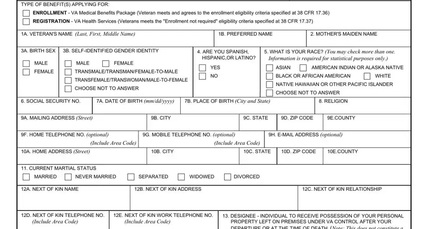 Entering details in Va Form 10 10Ez step 2