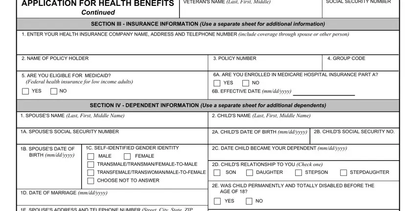 Entering details in Va Form 10 10Ez stage 4