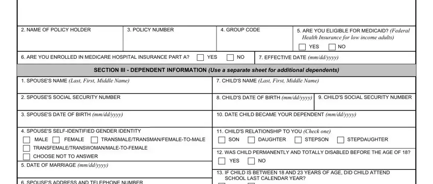 va form 10 10ezr online NAME OF POLICY HOLDER, POLICY NUMBER, GROUP CODE, ARE YOU ELIGIBLE FOR MEDICAID, Health Insurance for low income, YES, ARE YOU ENROLLED IN MEDICARE, YES, EFFECTIVE DATE mmddyyyy, SPOUSES NAME Last First Middle, CHILDS NAME Last First Middle Name, SECTION III  DEPENDENT INFORMATION, SPOUSES SOCIAL SECURITY NUMBER, CHILDS DATE OF BIRTH mmddyyyy, and CHILDS SOCIAL SECURITY NUMBER blanks to fill