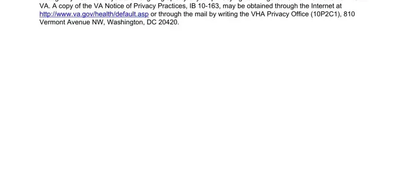 Filling in 10 5345a mhv form part 3