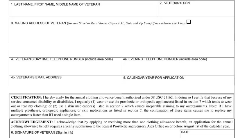 Va Form 10 8678 ≡ Fill Out Printable PDF Forms Online