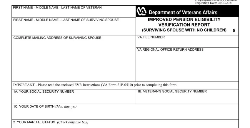 portion of blanks in fillable va form 21 10210