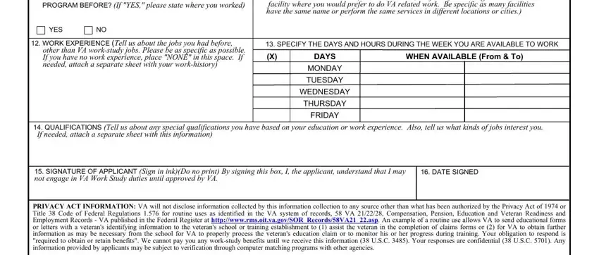 Va Form 22 8691 HAVE YOU EVER PARTICIPATED IN THE, WORK SITE PREFERENCE Tell us the, YES, WORK EXPERIENCE Tell us about the, SPECIFY THE DAYS AND HOURS DURING, WHEN AVAILABLE From  To, DAYS MONDAY TUESDAY, WEDNESDAY, THURSDAY, FRIDAY, QUALIFICATIONS Tell us about any, SIGNATURE OF APPLICANT Sign in, DATE SIGNED, and PRIVACY ACT INFORMATION VA will blanks to fill out