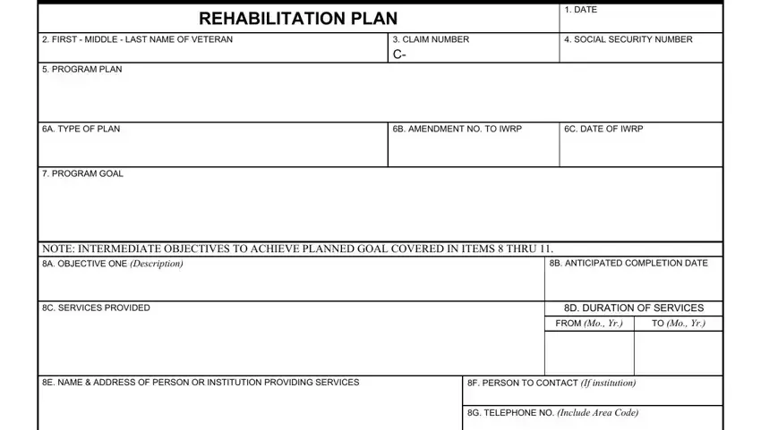 va form plan gaps to fill in