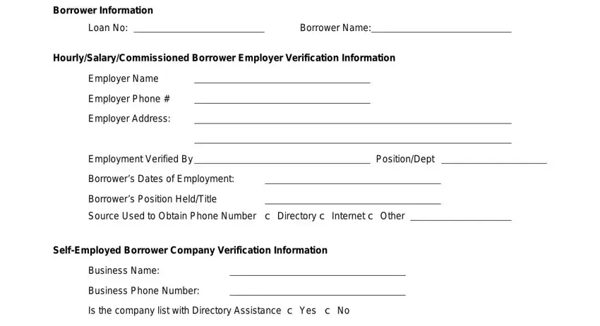 standard verification of employment blanks to consider