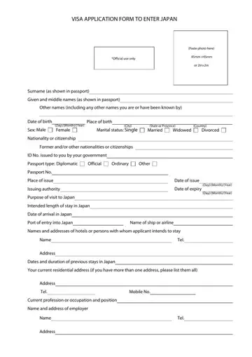 Visa Application Form To Japan Preview