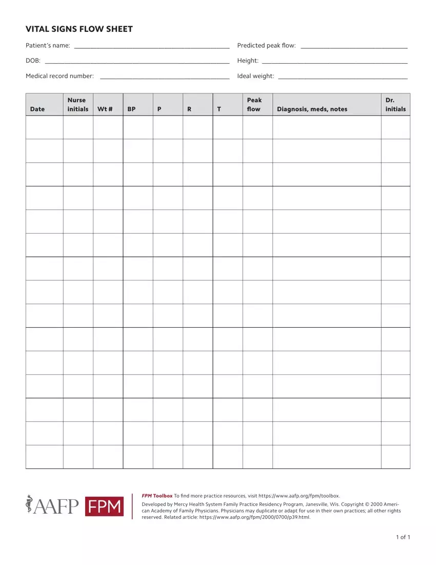 Vital Signs Flow Sheet first page preview