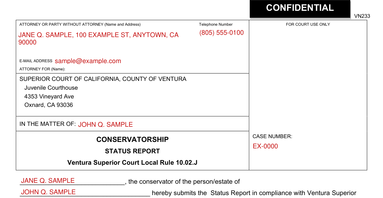 Form VN233 example filled out, attorney or party, Telephone Number, case and conservator