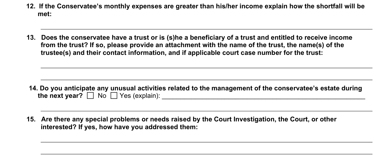 Form VN233 example filled out, shortfall, trust, unusual activities and special problems