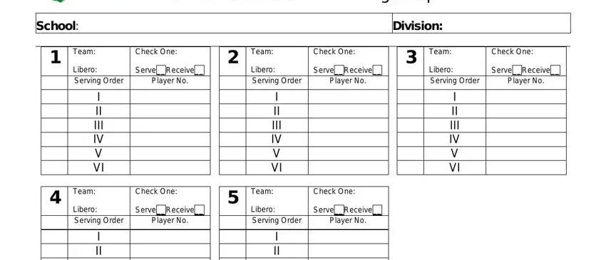 portion of fields in middle school volleyball lineup sheet