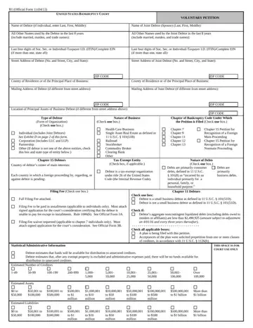 Voluntary Petition Form Preview