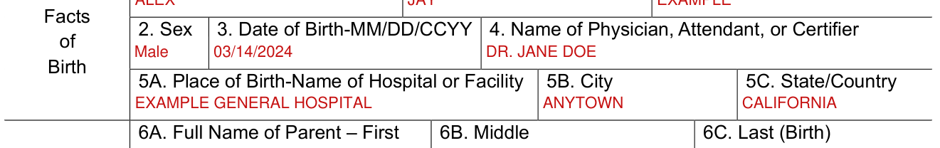 Form VS 44 example filled out, facts of Birth