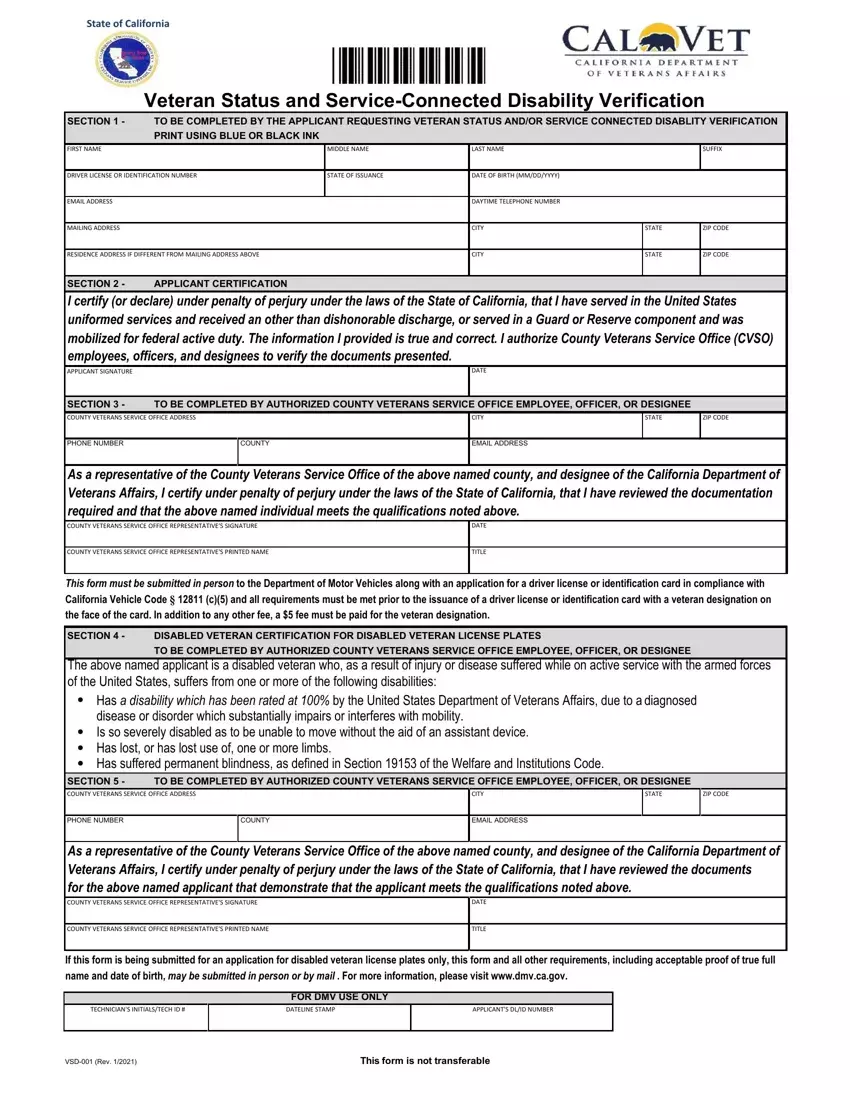 Vsd 001 Form first page preview