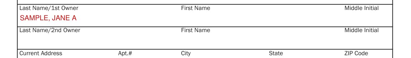 Form VSD 851 example filled out, last Name/1st Owner and Last Name/2nd Owner