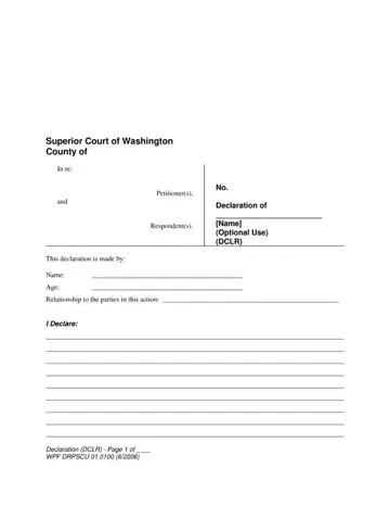 Washington State Declaration Form Preview