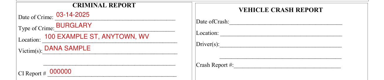 Form 141 example filled out, cRIMINAL REPORT
