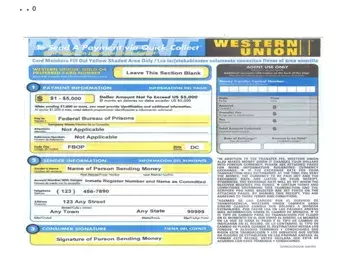 Western Union America Form Preview