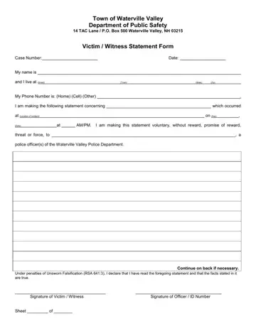 Witness Statement Template Preview