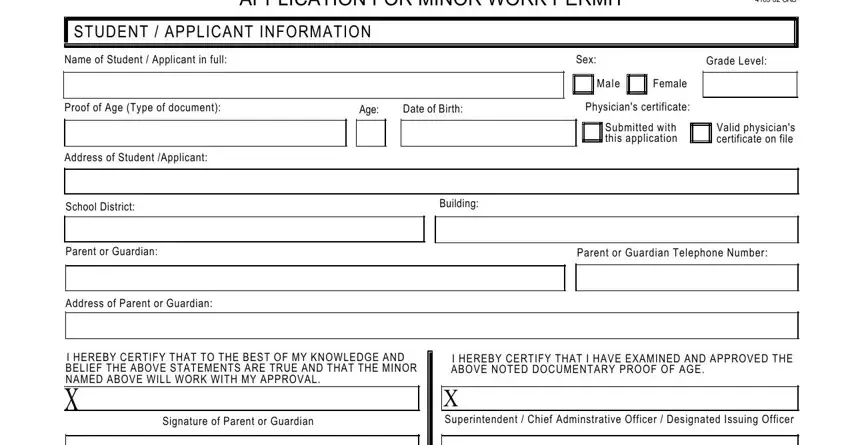 work-permit-fill-out-printable-pdf-forms-online