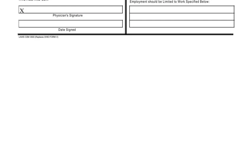 workers permit application IN THEIR OPINION PHYSICALLY FIT TO, If Marked YES Employment should be, Physicians Signature, Date Signed, and LAWS COM  Replaces OHIO FORM V fields to fill