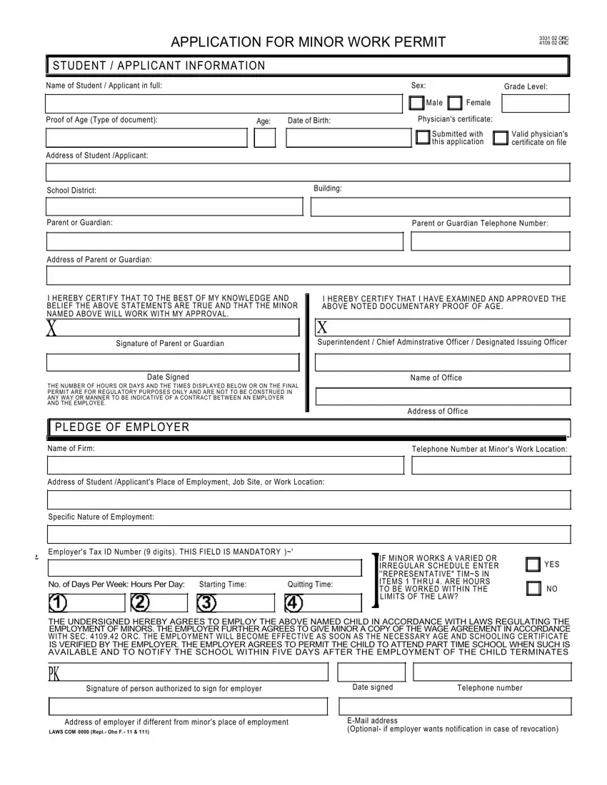 Work Permit first page preview