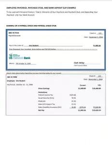 Payroll Check Template Preview