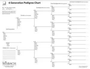 Pedigree Chart Preview