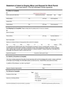 Statement of Intent to Employ Minor Preview