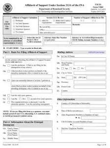 USCIS Form I-864 (Affidavit of Support) Preview