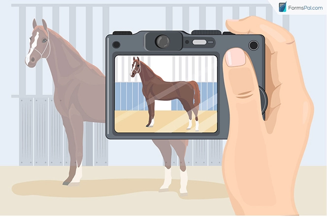 Horse-Bill-of-Sale-Taking-Photos