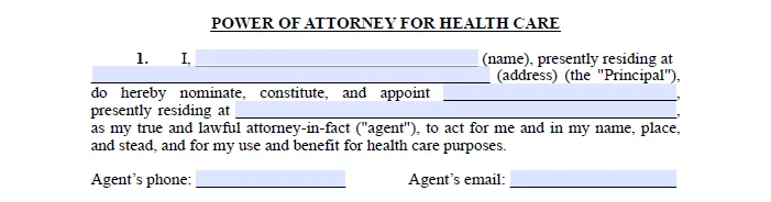 medical power of attorney information about the principal and agent