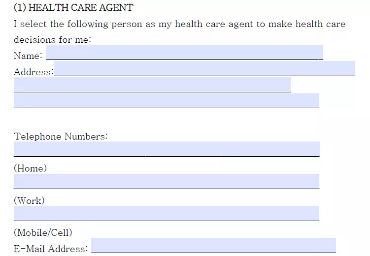Section for information about healthcare agent of a Georgia living will template