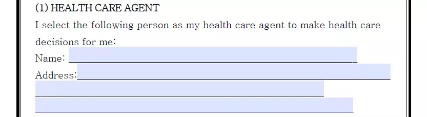 Health care agent appointment section of a Georgia AD form