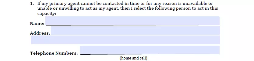 Backup agent choosing section of Maryland ad form