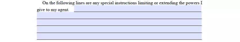 Special instructions part of a dpoa template for Michigan