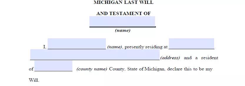 Section for indicating details of Michigan last will document