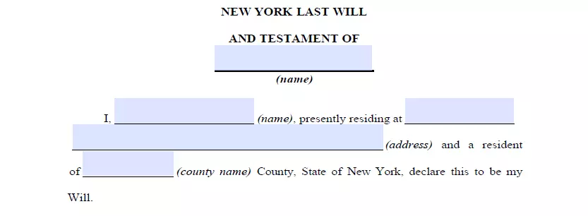 Section for specifying details of New York will and testament