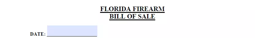 Part for indicating creation date of firearm bill of sale form for Florida