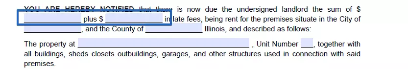 Debt amount specification part of Illinois five day notice to quit form