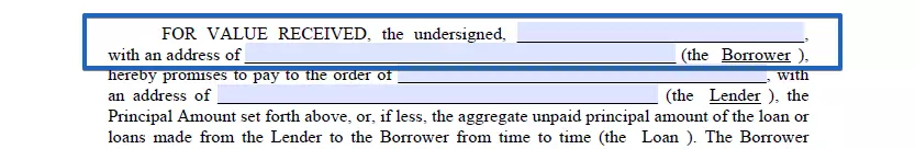 Borrower's details part of a Connecticut promissory note template