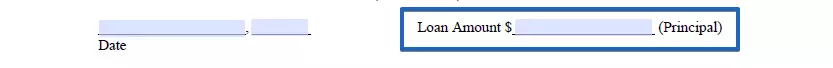Loan amount specification part of Florida promissory note form