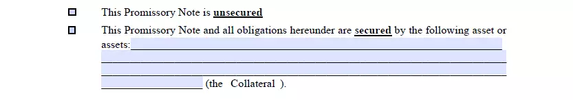 Type definition section of a Louisiana promissory note