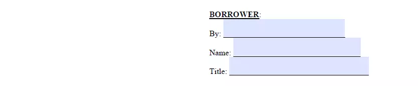 Signatures section of promissory note document for Nevada