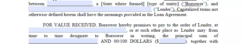 Basic info entering part of New Jersey promissory note form