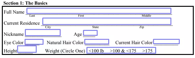 step 2 fill out the “basics” about yourself filling out a girlfriend application form