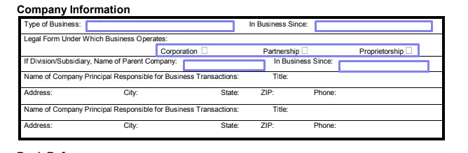 step 2.1 add more details about the entity filling out business credit application template