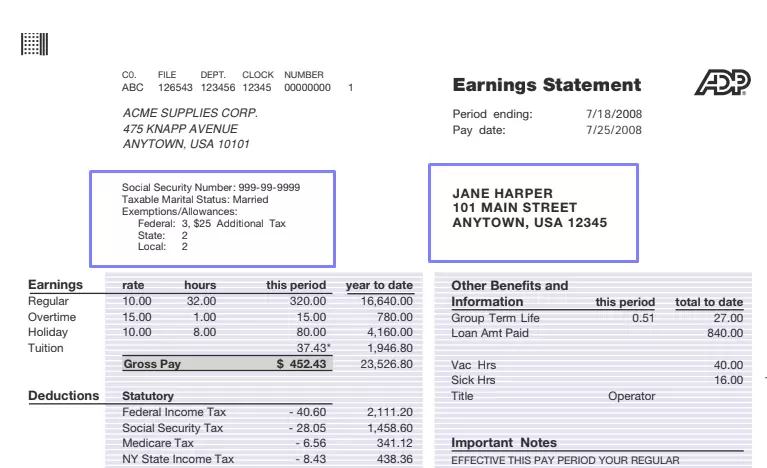 pay stub template fill in